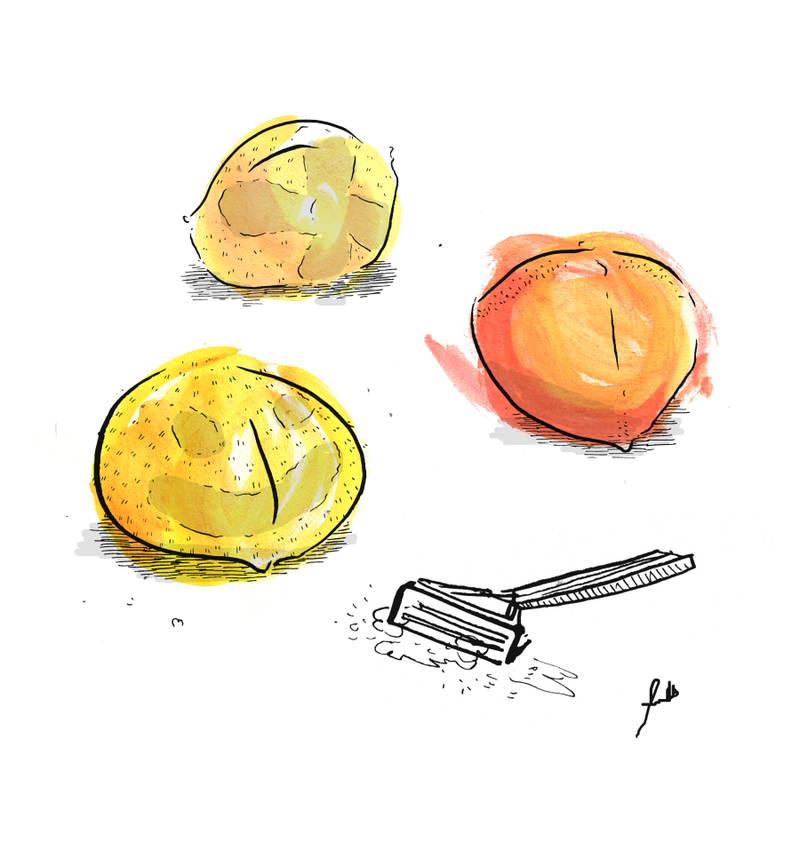 Illustration for article titled Nectarines Exposed